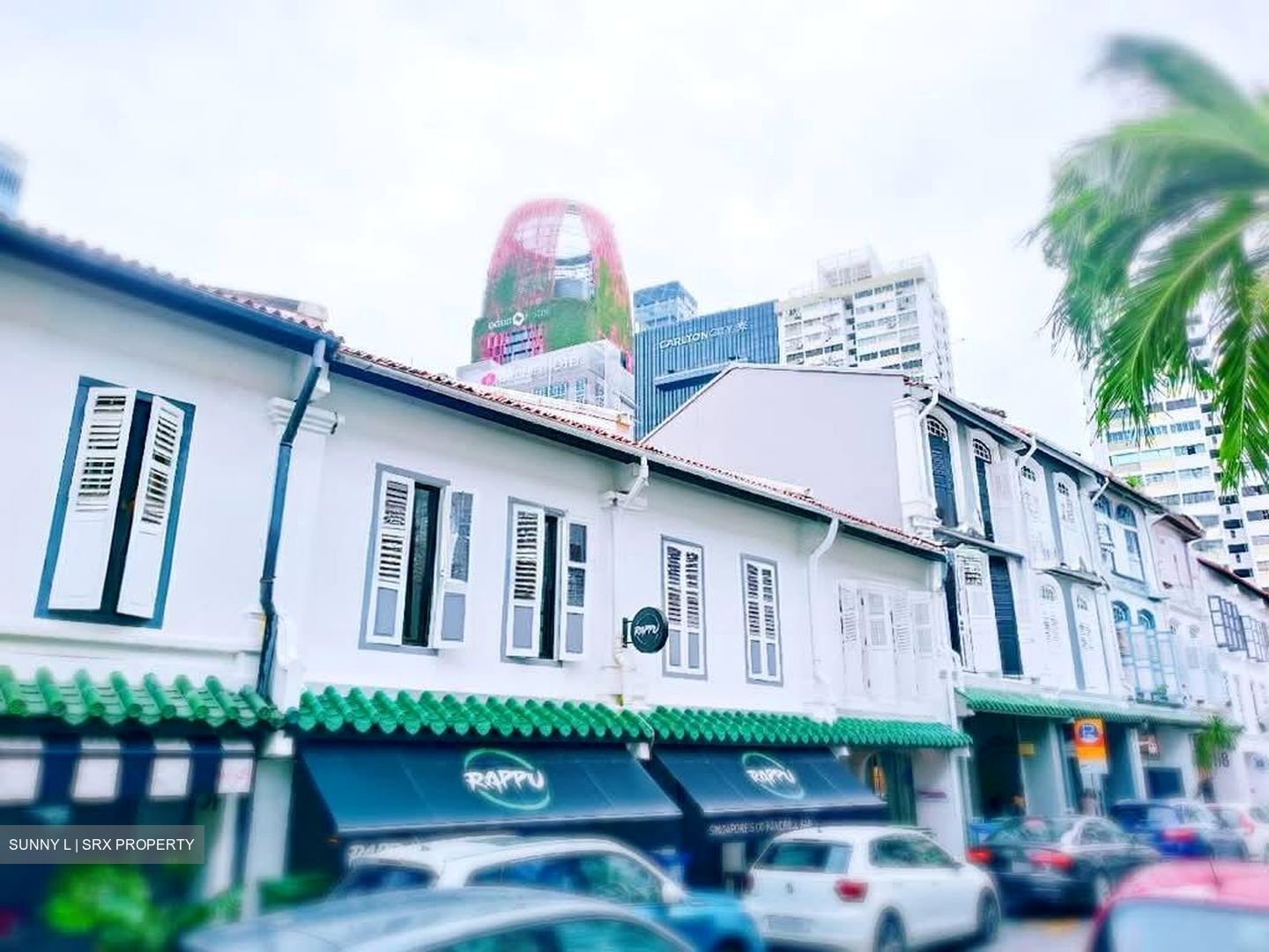 Duxton Road (D2), Retail #585259271